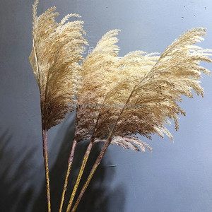 Arreglo de flores artificiales de seda para boda, el más vendido, <span class=keywords><strong>Phragmites</strong></span> <span class=keywords><strong>Australis</strong></span>, el más vendido de la tienda, el 2 de agosto de 2017 - Product Image 1