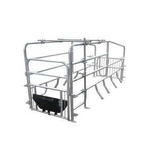 Single Cheap Sow Farrowing Crates For Sale Pig Farm Animal Cages Pig Cage