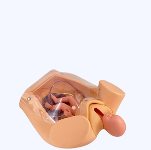 Doğum sırasında ebelik öğretmek için doğum modeli için gelişmiş kapsamlı beceri eğitim modeli - Product Image 5