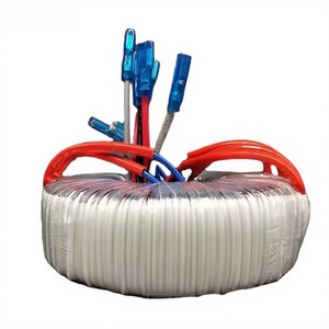 Biến áp hình xuyến 105W 160W 200W 300W 360W 400W 500W 600W 800W 1000W 1200W 1500W 2000W 3000W 5000va - Product Image 1