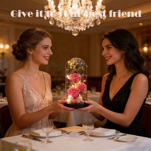 Nuovo Arrivo Transfrontaliero Direttamente dalla Fabbrica: Rosa Luminosa a <span class=keywords><strong>LED</strong></span> AIDA a Forma di Cupola con Fiori di Sapone e Copertura in Vetro per Soggiorno e San Valentino - Product Image 3