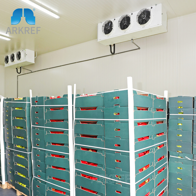 Customized Cold Storage Room for Fruits