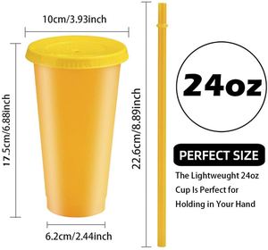 700ml 24oz Large Capacity PP Material <b>Plastic</b> Water <b>Cup</b> with Straw Temperature-Sensitive Color Changing <b>Cup</b> - Product Image 3