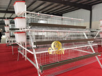 Usine de poulaillers QIANQIN, cages à volailles pour 120 à 160 poules pondeuses au Kenya, au Nigéria et au Zimbabwe