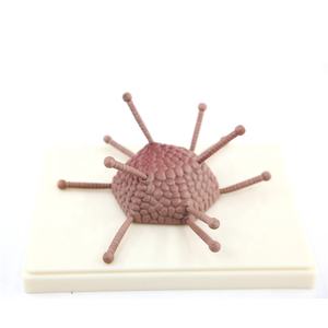 <span class=keywords><strong>Adenovirus</strong></span> modelo para mostrar la detallada cápside estructura - Product Image 1