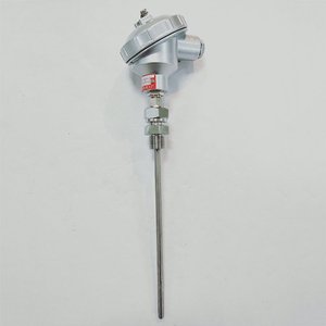 Sensor de Temperatura Integrado a Prueba de Explosiones, Termopar a Prueba de Explosiones, Resistencia Térmica, Sensor de Temperatura Pt100/PT1000 WZP-240 - Product Image 3