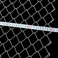 Malla de Alambre Galvanizado con Forma de Diamante Q195 1.5-3.5mm 50x50mm, Valla Flexible Anti-Impactos para Canchas Deportivas de Baloncesto