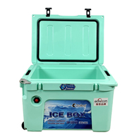 Glacière isotherme en plastique TOLEE TOLLEE 40L pour le camping en plein air et le stockage de vaccins
