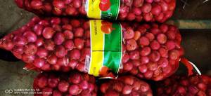 Fresh Red Purple <strong>Onion</strong> Supplier | Premium Quality <strong>Export</strong> From Shandong Non-Peeled 12 Month Shelf Life - Product Image 6