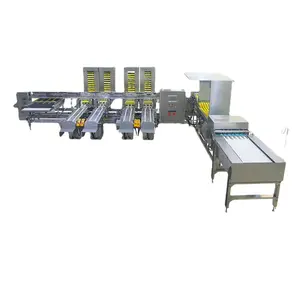 5 Row Lane Egg Sorter Scale And Grader Weigh Inspection 5400 Egg/hr Duck Egg Grade Machine For Sale