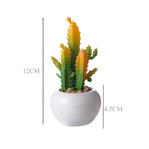 Petits pots en céramique blanc mat avec finition émaillée Intérieur Extérieur Maison Jardin Décor Fleurs Succulentes Plantes Vertes Bonsaï Table - Product Image 6