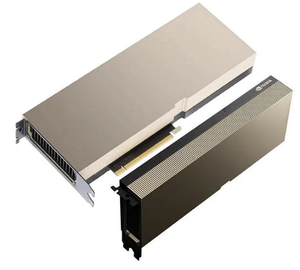 TESLA A16 64G Tarjeta gráfica Tesla A10 24GB GDDR6 Pasivo CUDA <span class=keywords><strong>GPU</strong></span> PCIe Acelerador - Product Image 4