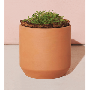 Vente chaude moderne 3000 Pc Kit de culture en <span class=keywords><strong>terre</strong></span> <span class=keywords><strong>cuite</strong></span> mignon petit Pot de fleur blanc avec merci marguerites pot de germination pour les jardins - Product Image 5