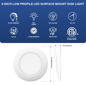 Luz LED plana de perfil bajo Montaje en superficie 4 6 9 pulgadas Blanco redondo 2700K 3000K 3500K 4000K 5000K Luces de disco Luz de techo - Product Image 5