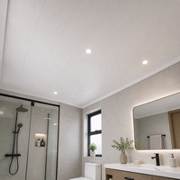 Panel de Techo de PVC Blanco Mate para Baño WYRAX de 300x10 mm, Construcción Hueca de Bajo Brillo con Borde Encastrable, Ligero