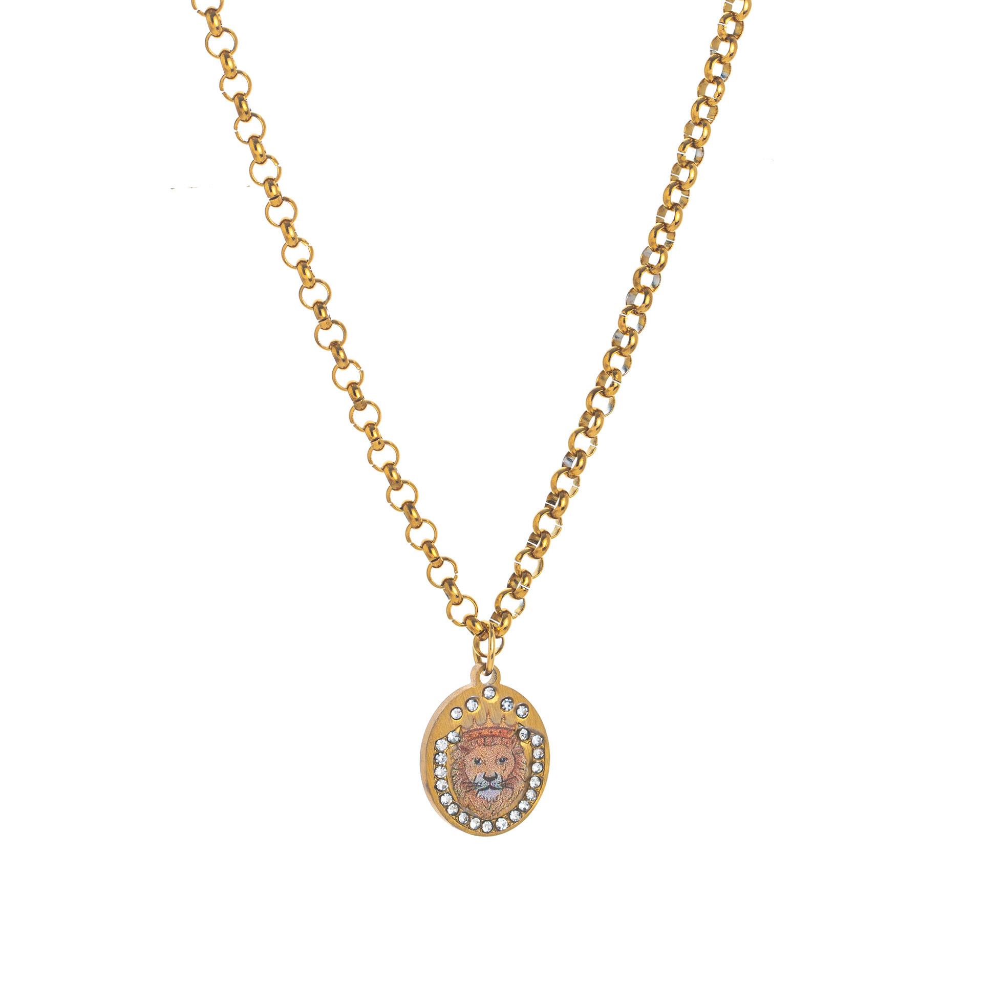 Gold Warrior-[doble cara desabrochada]