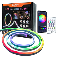 Bande LED néon intelligente flexible en PVC souple RGBIC, étanche pour extérieur, avec télécommande USB APP BT, 1M 3M 5M