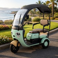 Tricycle électrique 1000W, 3 places, trois sièges réglables, carrosserie ouverte, petit scooter familial