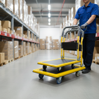 Chariots à plateforme en acier antidérapants personnalisables, conception à quatre roues, utilisation en entrepôt, transport d'affaires personnels, support OEM