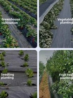 Toile de paillage noire durable pour vergers et arbres fruitiers – Vente en gros directe du fabricant en rouleau