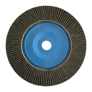 T27 7 "180 мм Карбид кремния абразивный лоскут диск SIC для шлифования стеклянных краев и камня 40 #60 #80 #120 # Размер Грита 10 шт./упаковка - Product Image 1