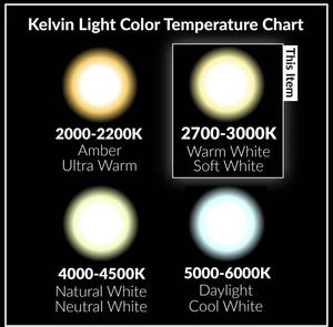 Chất lượng cao 12V rõ ràng viên nang 2 Pin G4 bóng đèn halogen 10W 20W 35W Trắng Ấm cho dưới tủ Puck ánh sáng đèn chùm - Product Image 6