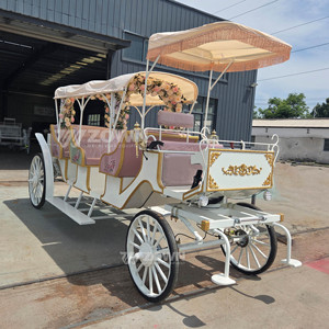 Luxury Horse Carriage for Weddings Sightseeing white 3-<b>row</b> sightseeing horse carriage Special Transportation - Product Image 5