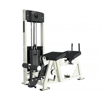 Équipement de musculation Fitness M1 Machine de musculation pour triceps et biceps sélectable Entraînement de force Machine de musculation commerciale en acier inoxydable