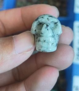 กะโหลกคีวี