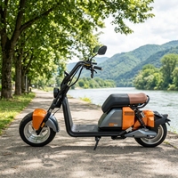 Vente en gros au Brésil : Scooter électrique à deux roues 1000W 20Ah avec batterie au lithium, pneus larges en alliage d'aluminium, Citycoco pour les trajets quotidiens