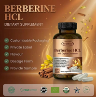 Complément alimentaire en gélules de berbérine HCl Healthife OEM Private Label pour la santé immunitaire avec cannelle de Ceylan