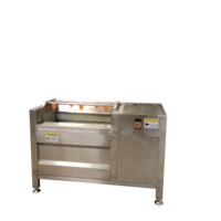 Automatische Rode Dadels Palmreinigingsmachine Rolborstel Groente Reinigingsmachine