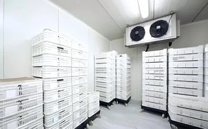 Congelador Comercial Automático de Alta Qualidade com Câmara Fria para Carnes com Motor Solar Copeland - Product Image 2