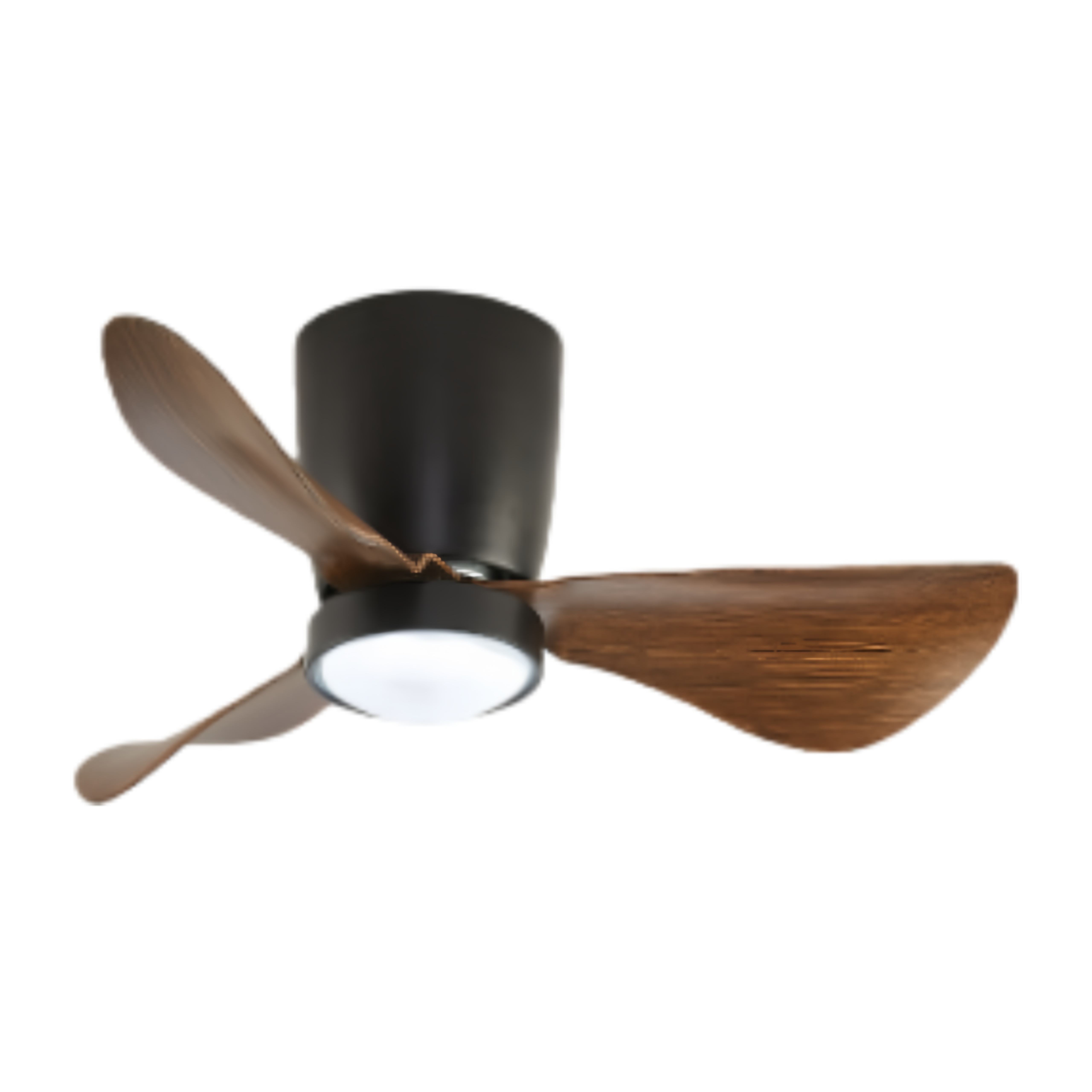 วอลนัทดำ