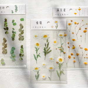 Hot 12 stili Botanical Deco Clear Stickers Set Scrapbooking Card abbellimento Plant Lover Gift adesivi a tema floreale fustellati - Product Image 1