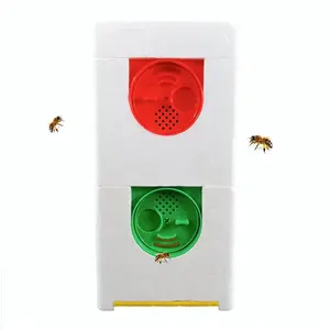 养蜂用双层蜂王饲养Nuc箱迷你交配Nuc蜂箱