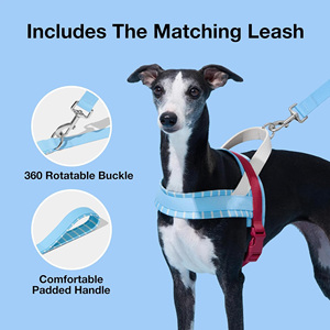 Arnés <span class=keywords><strong>para</strong></span> Perro de Alta Calidad, Sin Estrangulamiento, con Correa, Ajustable, Acolchado y Suave, <span class=keywords><strong>para</strong></span> Whippet, Galgo, Dachshund - Product Image 2