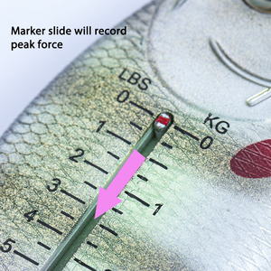 Báscula de Pesca Mecánica Portátil de 4.5KG/10LB, Fabricada por <span class=keywords><strong>RTI</strong></span> - Product Image 4