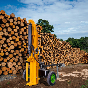 Máy cắt gỗ thủy lực cầm tay, Máy tách gỗ, động cơ xăng, máy cắt gỗ cho hộ gia đình - Product Image 3