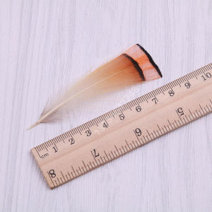 Vente en gros de plumes Offre Spéciale plumes de tête de faisan doré naturel pour la pêche à la mouche montage de mouches - Product Image 5