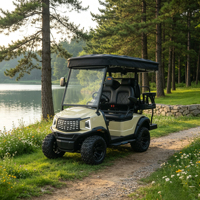 Voiturette de golf électrique de luxe 4 places avec coffre arrière intégré et couleur de carrosserie personnalisée pour la chasse et les usages utilitaires