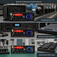 Reproductor de MP3 con Decodificador, Placa Amplificadora de 2x100w, Sistema de Audio para el Hogar, para Ensamblaje de Altavoces, Mayorista de Audio para Fábricas