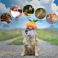Jouets couineurs pour chiens d'Halloween avec papier froissé, jouets à mâcher en corde pour l'ennuie et l'enrichissement, jouet en peluche rembourré pour chiens et chiots