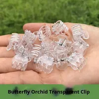 Transparan enam cakar Phalaenopsis klip bunga mawar berkebun clemagnetik batang cabang tetap plastik Pekerjaan taman sederhana