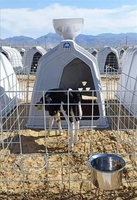 Nichoir pour veau, abri pour animaux, cage pour vache