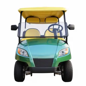 电动经典高尔夫球车定制您自己的球车型号前面罩60伏高尔夫球车，前盘 + 后dsic