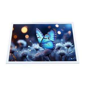 G121EAN01.3 Módulo LCD Original AUO de 12.1 Pulgadas WXGA AHVA, Legible Bajo la Luz Solar, Ultra Ancho, Resistente a Altas Temperaturas - Product Image 5