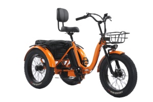 Vélo électrique à trois roues pour seniors, avec batterie au lithium 20Ah, moteur arrière 750W, pneus larges 48V, tricycle électrique <span class=keywords><strong>cargo</strong></span> - Product Image 3