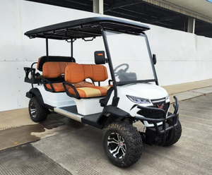 Vendita calda Wldt3-2Seater elettrico Buggy Car 48v verde 4x4 con motore a 2 tempi realizzato in cina Golf cart