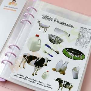 <span class=keywords><strong>Classeur</strong></span> A5 personnalisé couverture <span class=keywords><strong>souple</strong></span> transparente livre de stockage d'autocollants grande taille organisateur d'album autocollant album photo 4 poches - Product Image 3